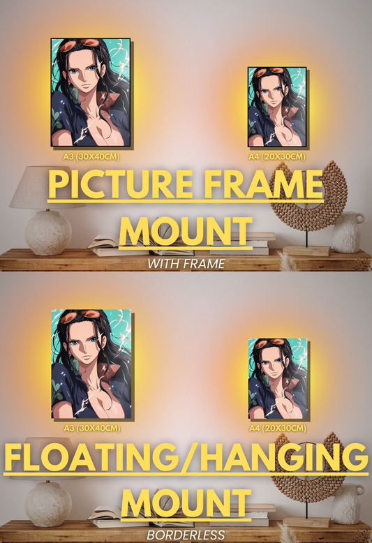 Pirate King Series - 001 (Robin-Inspired)| Premium Anime Metal Print — For True Collectors